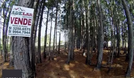 Terreno em Lami