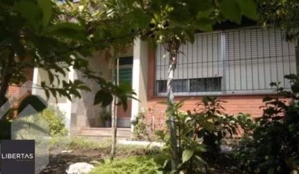 Terreno em Vila Ipiranga