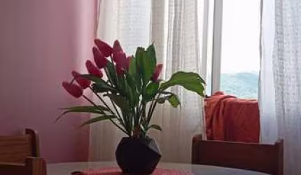Apartamento em Restinga