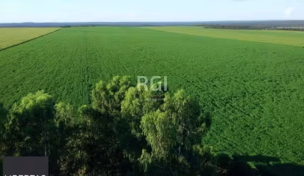 Terreno para Venda - 0m², 0 dormitórios, Centro