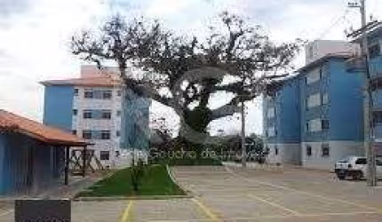 Apartamento para Venda - 45.81m², 2 dormitórios, 1 vaga - Agronomia, Porto Alegre