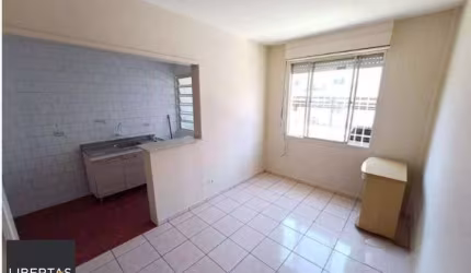 Apartamento no bairro Vila Nova 1 dormitório