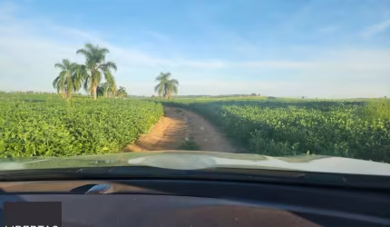 Fazenda apenas 50 quilômetros de PORTO ALEGRE