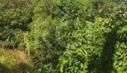 Terreno para Venda - 0m², 0 dormitórios, Aberta dos Morros/ Altos do Santa Rita,