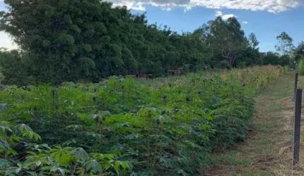 Terreno em Arroio dos Ratos