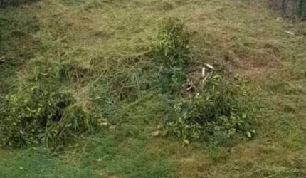 Terreno a venda Bairro Agronomia