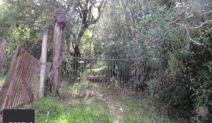 Área 53851,44 m²  no Beco da Paixão Bairro Lomba do Pinheiro