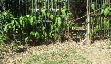 Terreno para Venda - 0m², 0 dormitórios, Aberta Dos Morros