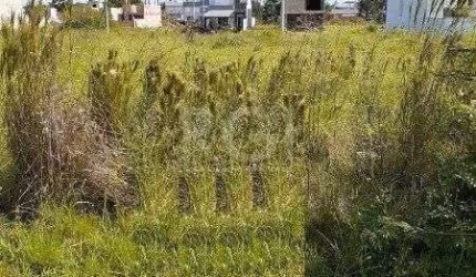 Terreno para Venda - 0m², 0 dormitórios, Hípica