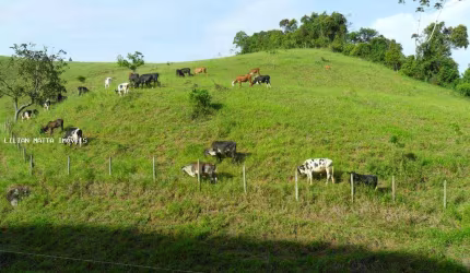 Sítio / Chácara para Venda em Santos Dumont, Centro, 3 dormitórios, 2 banheiros, 4 vagas