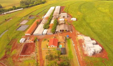 GRANJA COMPLETA A VENDA EM BOM PRINCIPIO TOLEDO - PR