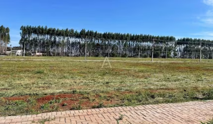 Terreno à venda no Bairro TROPICAL IV em CASCAVEL por R$ 319.000,00