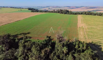 Chácara a venda a 11km do Centro de Cascavel