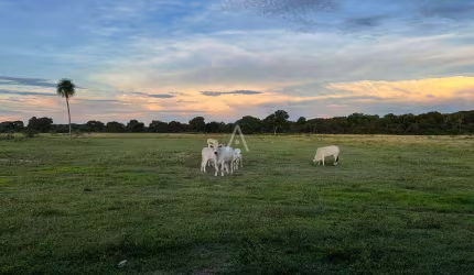Fazenda a venda no Pantanal Alto, Itiquira - MT