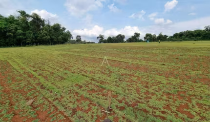 Área Rural à venda, localizada no Condomínio de Lazer Sapucaia, em Cascavel - Pr., por R$100.000,00