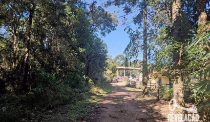 Chácara com 1 dormitório à venda, 52000 m² por R$ 2.000.000,00 - Cachoeira - São José dos Pinhais/PR