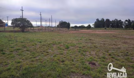 Área para alugar, 10.000 m² por R$ 10.000/mês - Rio Pequeno - São José dos Pinhais/PR
