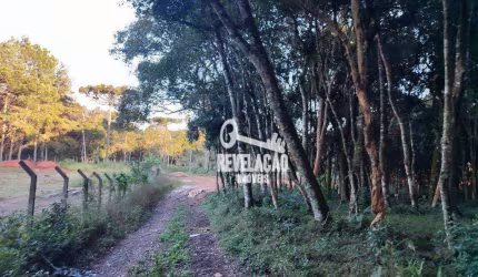 Chácara à venda, 3054 m² por R$ 499.000,00 - Borda Do Campo - São José dos Pinhais/PR