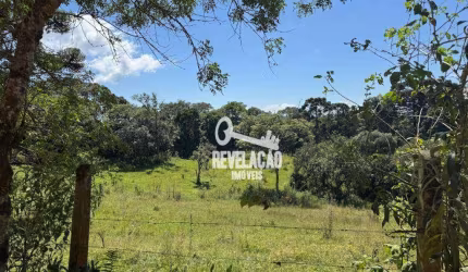 Chácara a partir de 20.000 m² na Colônia Murici - São José dos Pinhais