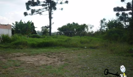 Terreno à venda, 924 m² por R$ 320.000,00 - São Sebastião - São José dos Pinhais/PR