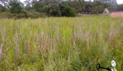 Área à venda, 5100 m² por R$ 4.080.000,00 - Costeira - São José dos Pinhais/PR