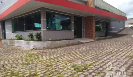 Chácara com  tanques e salão de eventos à venda, 36300 m² por R$ 3.400.000 - Roça Velha - São José dos Pinhais/PR