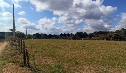 Área à venda, 18406 m² por R$ 5.000.000,00 - Campina - São José dos Pinhais/PR