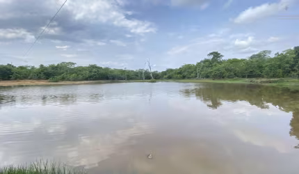 Fazenda para Venda em Nossa Senhora do Livramento, 23 de Setembro, 3 dormitórios