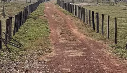 Sítio para Venda em Santo Antônio do Leverger, AGRO VILA DAS PALMEIRAS, 2 dormitórios, 1 suíte, 2 banheiros