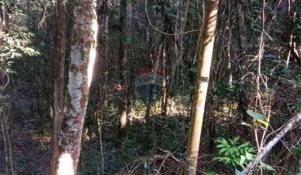 Lote de 6.055m² no Jardins de Petrópolis Nova Lima