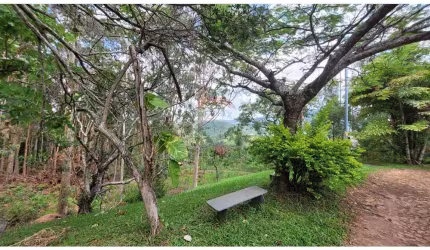 Terreno/Fazenda/Rancho área de 52,9 hectáres, em Caeté/MG, vocação para loteamento, seguindo a tendência da região. 31,0 ha de área aproveitável.