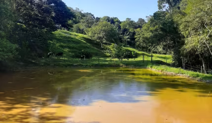 OPORTUNIDADE DE PERMUTA ! SÍTIO EM MINAS GERAIS  PRÓXIMO Á PASSOS E ALPINÓPOLIS, MOBILIADO.