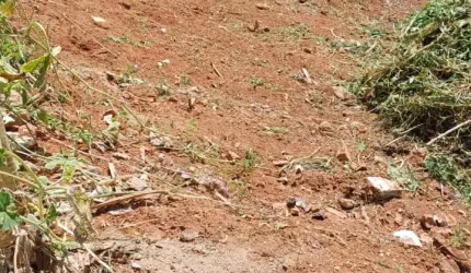 LOTE A VENDA NOP BAIRRO NO EXPEDICIONÁRIO!