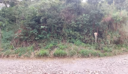 Lote de esquina