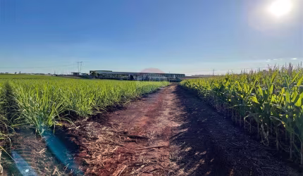 Área rural para loteamento com 7 hectares ou 2,9 alqueires no Centro da cidade de Jardinópolis