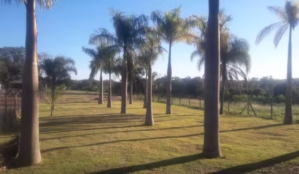Terreno à venda, 2030 m² por R$ 1.200.000,00 - Gleba Palhano - Londrina/PR