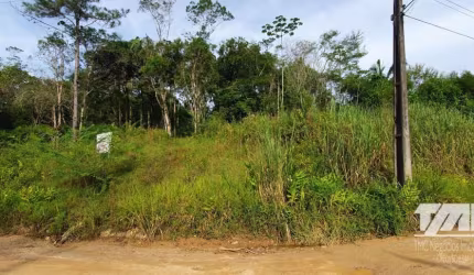 Terreno em área Industrial