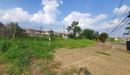 EXCELENTE TERRENO PARA VENDA EM CAMPINAS | LOCALIZAÇÃO PRIVILEGIADA | VILA BRANDINA | CAMPINAS/SP