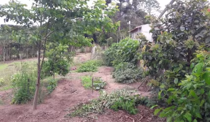 Terreno Rural para Venda em Lapa, Passa Dois