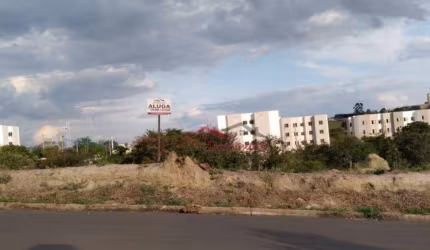 Terreno para alugar, 1504 m² por R$ 2.000,00/mês - São Luiz - Americana/SP