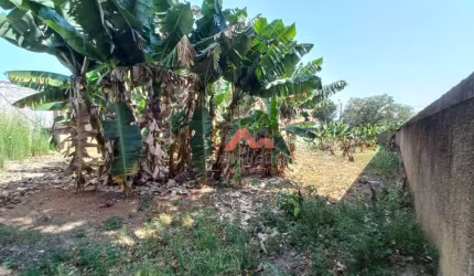 Terreno, 433 m² - venda por R$ 450.000,00 ou aluguel por R$ 1.159,00/mês - Vila Mariana - Americana/SP