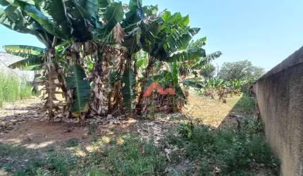 Terreno, 433 m² - venda por R$ 450.000,00 ou aluguel por R$ 1.159,00/mês - Vila Mariana - Americana/SP