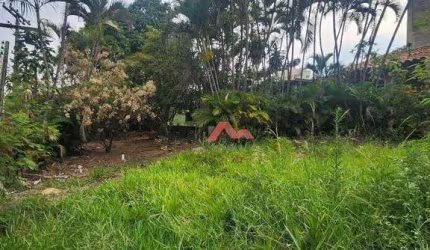 Terreno à venda, 843 m² por R$ 1.040.000,00 - Jardim São Domingos - Americana/SP