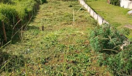 LOTE JUIZ DE FORA GRAMA