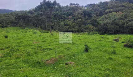 Sítio para Venda em Anitápolis, Centro