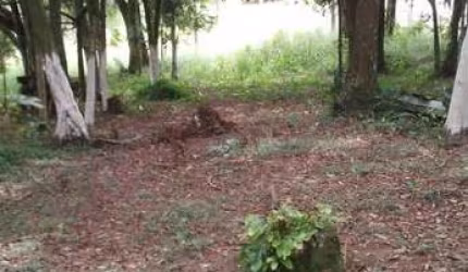 Lote / Terreno em Biritiba Mirim - SP