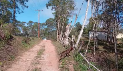 Chácara / sítio com 2 quartos à venda na Est Bro Moinho, --, Moinho, Nazaré Paulista por R$ 240.000