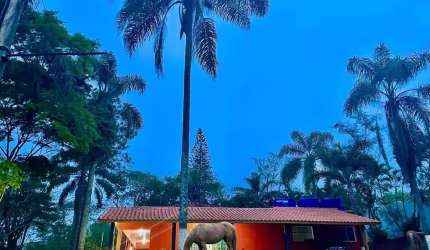 Chácara / sítio com 3 quartos à venda na Arthur Meirellhes França, --, Centro, Santa Isabel por R$ 1.250.000