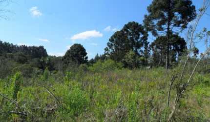 Terreno Lote para Venda em Centro Mandirituba-PR