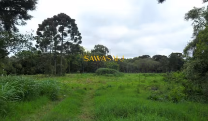 Terreno para Venda em Roseira São José dos Pinhais-PR